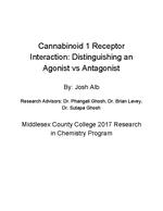 Cannabinoid 1 ReceptorInteraction: Distinguishing an Agonist vs Antagonist